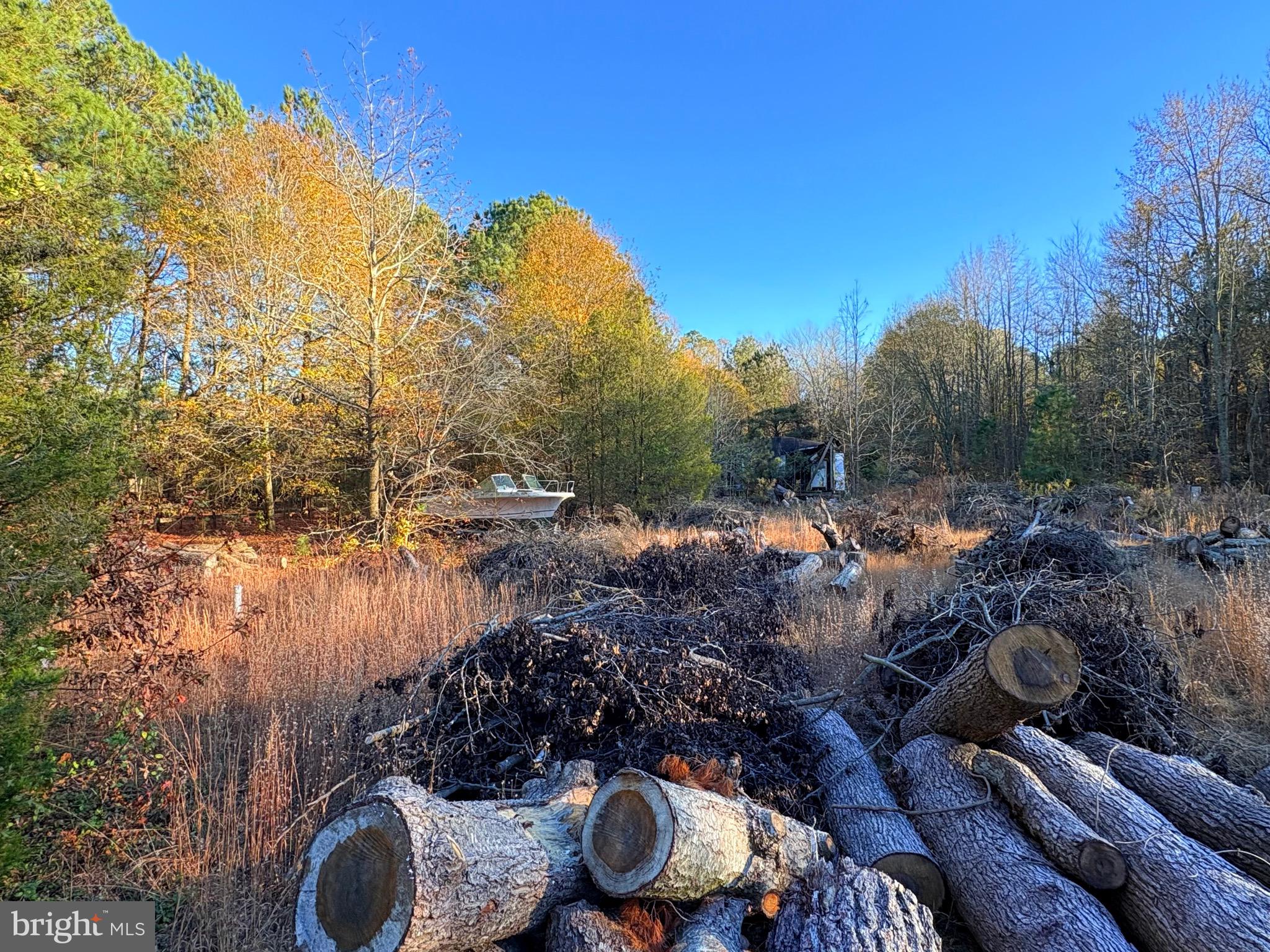 8385 Hurleys Neck Road Mardela Springs, MD 21837 - Photo 3 of 25 a view of outdoor space and patio