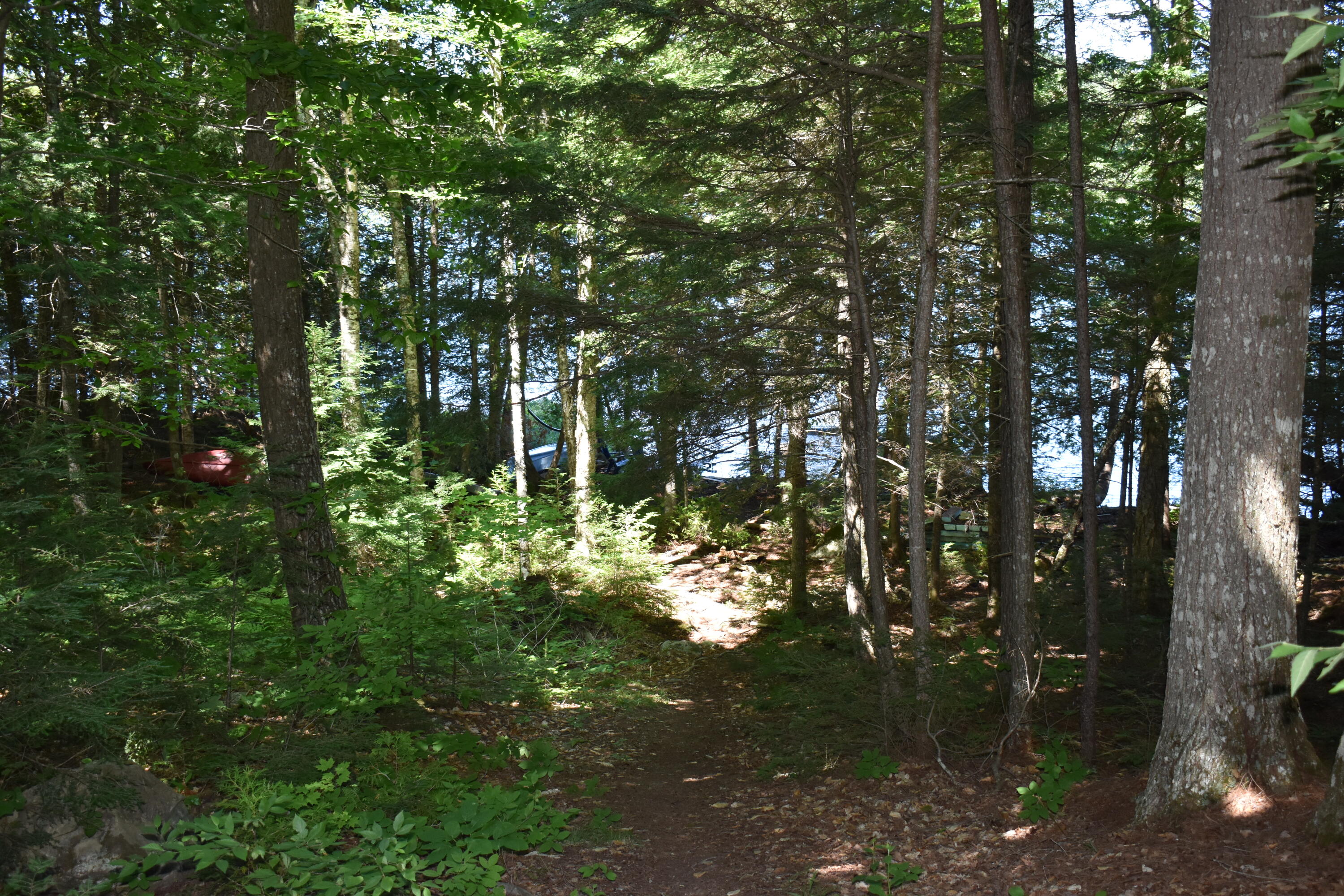 284 Spaulding Pond Road Lakeville, ME 04487 - Photo 26 of 38 DSC_0712