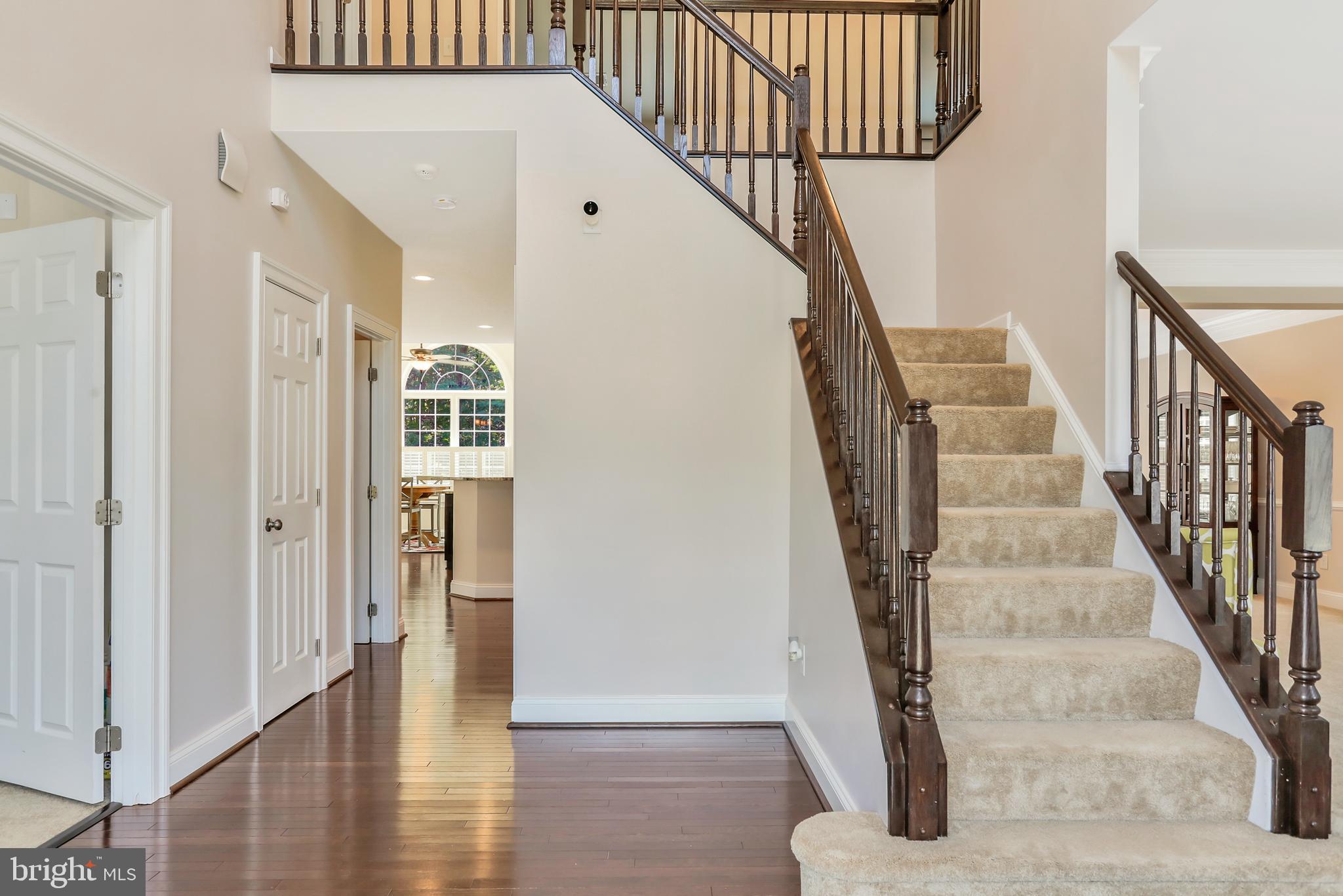 250 Rippling Waters Way Falling Waters, WV 25419 - Photo 2 of 95 Foyer