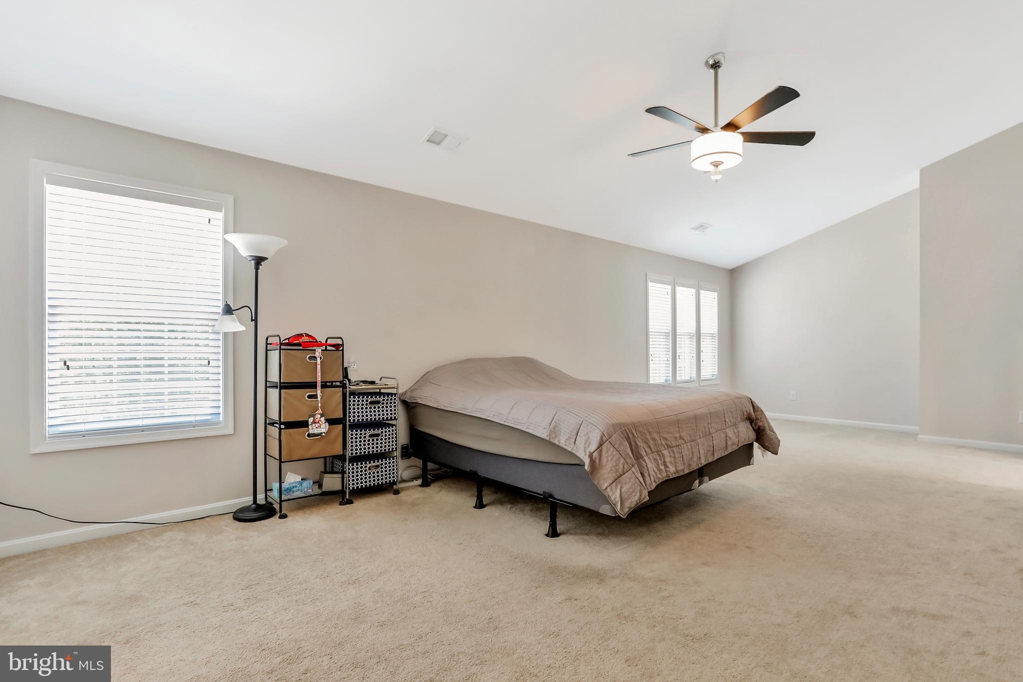 250 Rippling Waters Way Falling Waters, WV 25419 - Photo 28 of 95 Master Bedroom