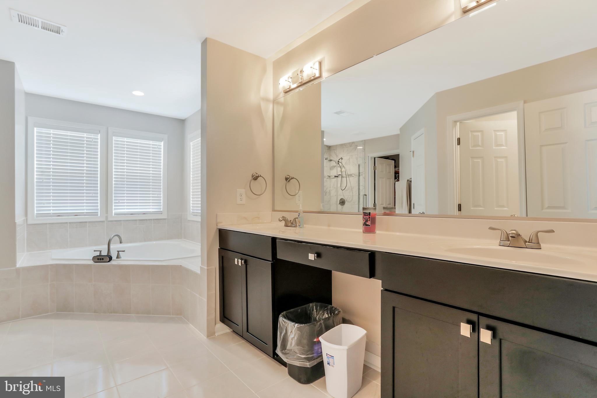 250 Rippling Waters Way Falling Waters, WV 25419 - Photo 32 of 95 Master Bathroom