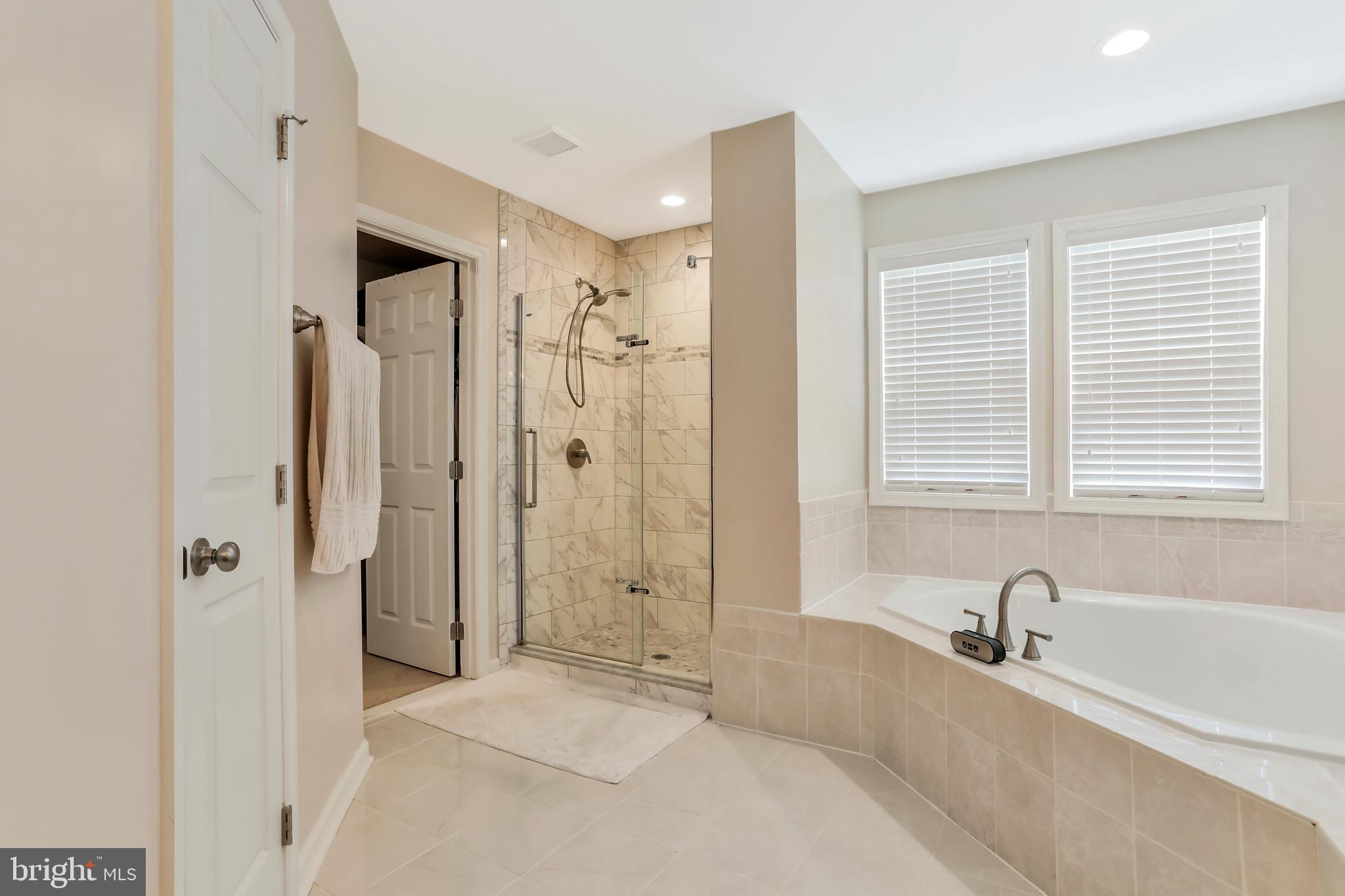 250 Rippling Waters Way Falling Waters, WV 25419 - Photo 33 of 95 Master Bathroom