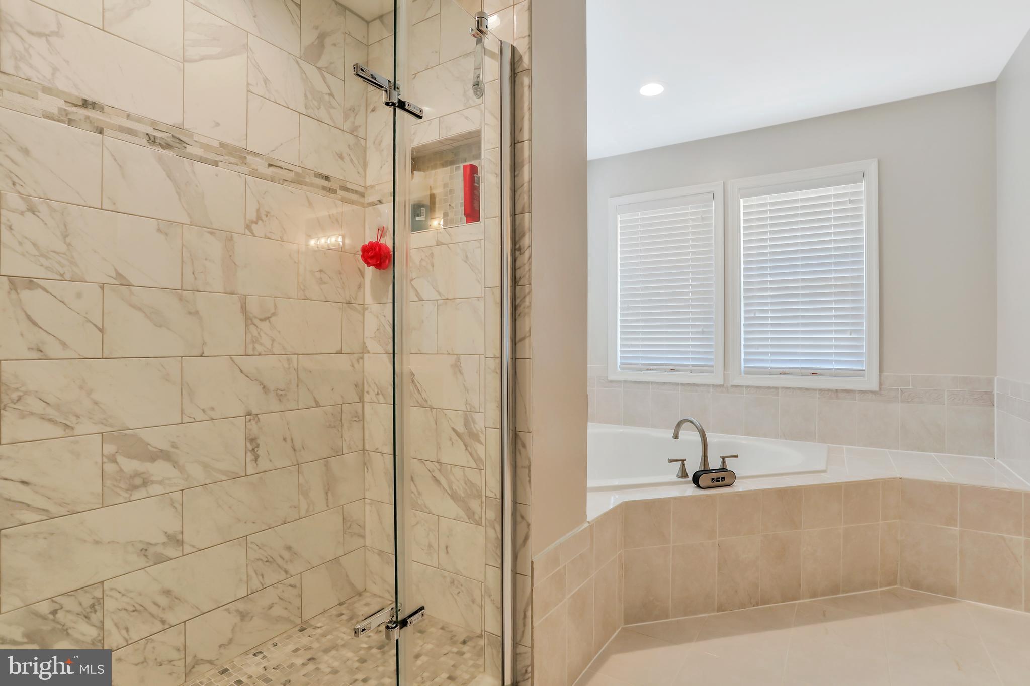 250 Rippling Waters Way Falling Waters, WV 25419 - Photo 34 of 95 Master Bathroom