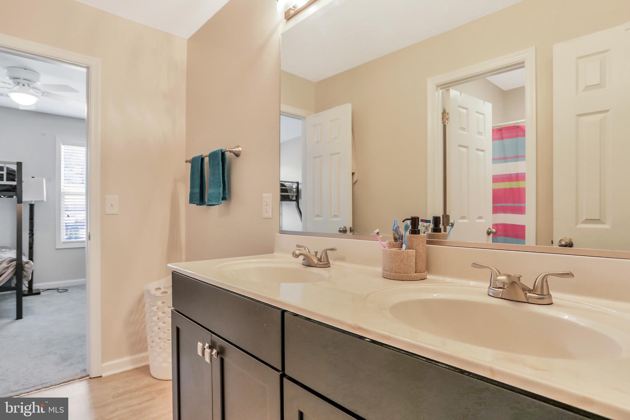 250 Rippling Waters Way Falling Waters, WV 25419 - Photo 43 of 95 Full Bathroom