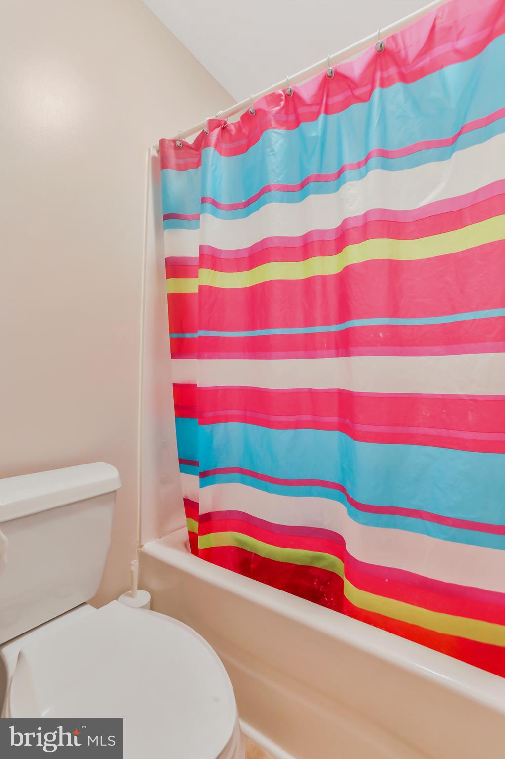 250 Rippling Waters Way Falling Waters, WV 25419 - Photo 44 of 95 Full Bathroom