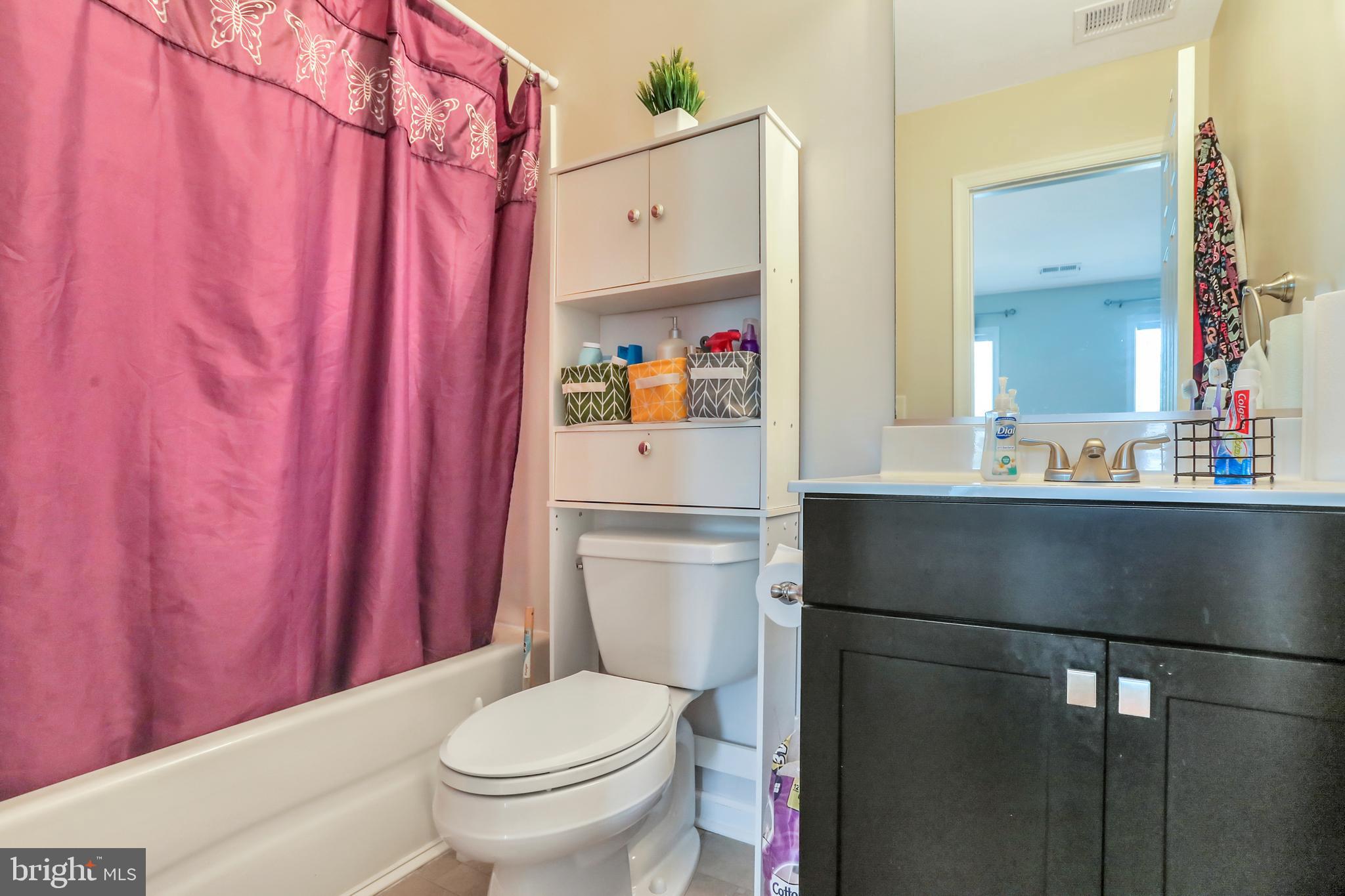 250 Rippling Waters Way Falling Waters, WV 25419 - Photo 48 of 95 Full Bathroom