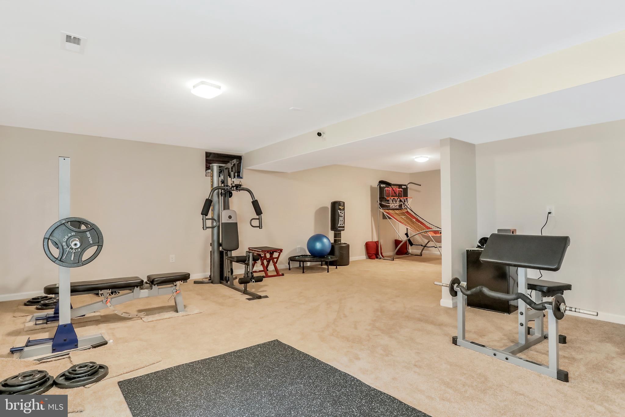 250 Rippling Waters Way Falling Waters, WV 25419 - Photo 53 of 95 Exercise Room