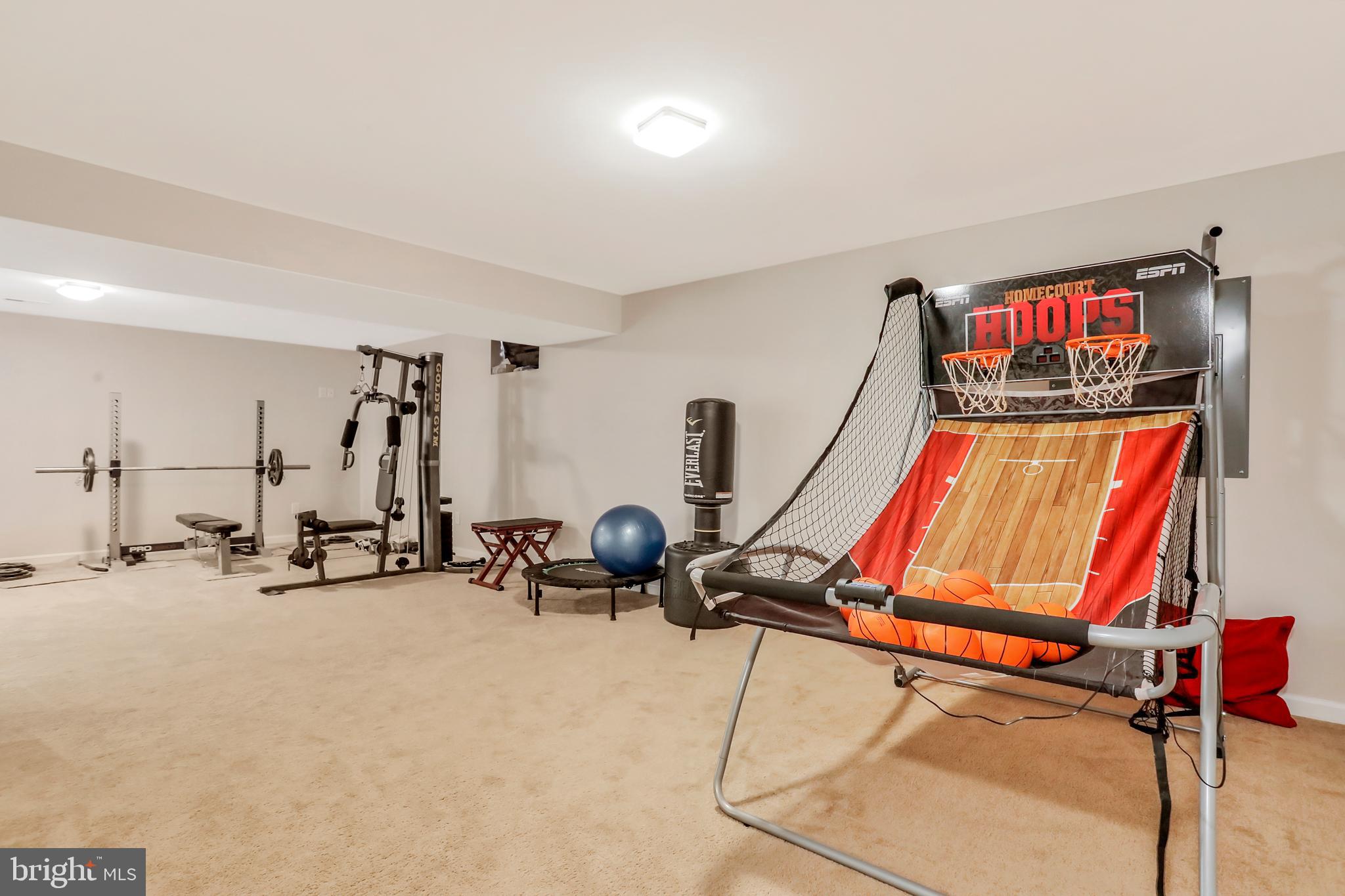 250 Rippling Waters Way Falling Waters, WV 25419 - Photo 54 of 95 Exercise Room