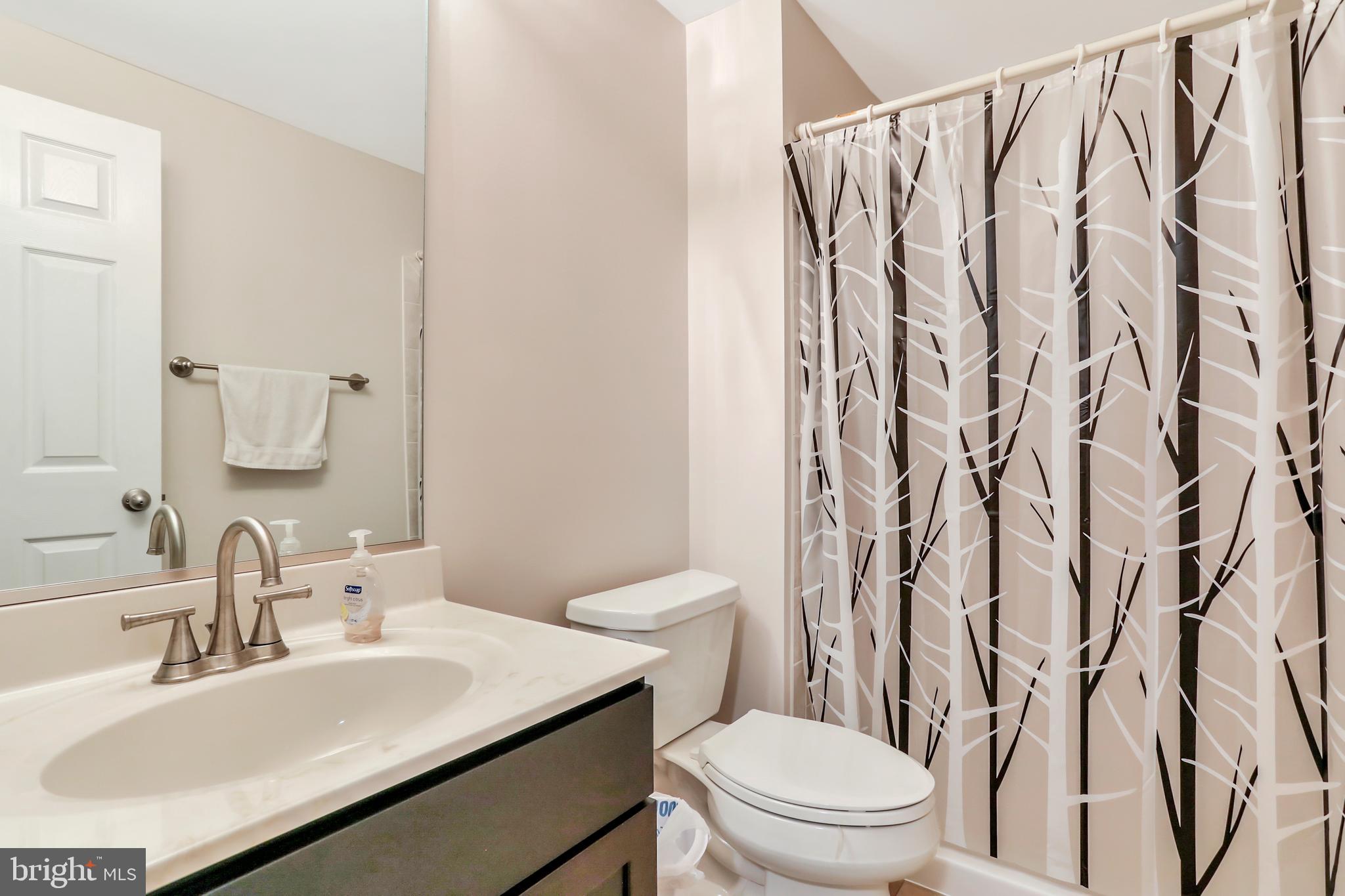 250 Rippling Waters Way Falling Waters, WV 25419 - Photo 55 of 95 Full Bathroom