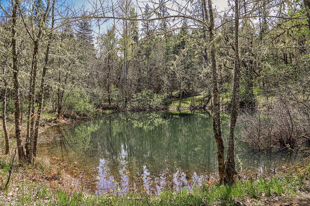 3773 Dick George Road Cave Junction, OR 97523 - Photo 26 of 34 Additional Photo
