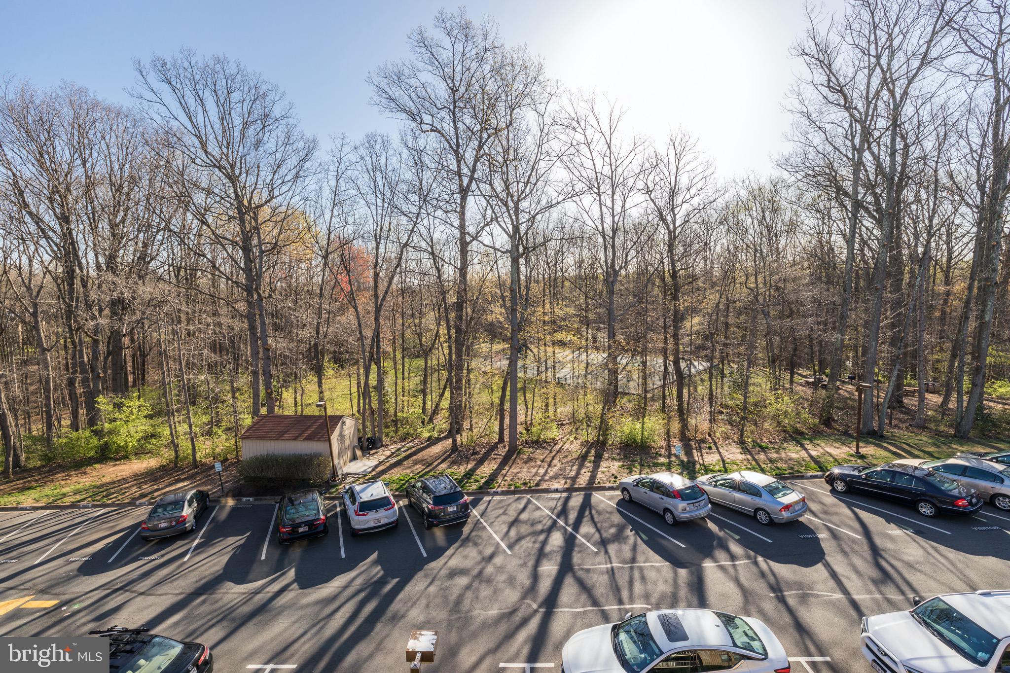 11236 Chestnut Grove Square, Unit 362 Reston, VA 20190 - Photo 44 of 51 Gallery Image 44