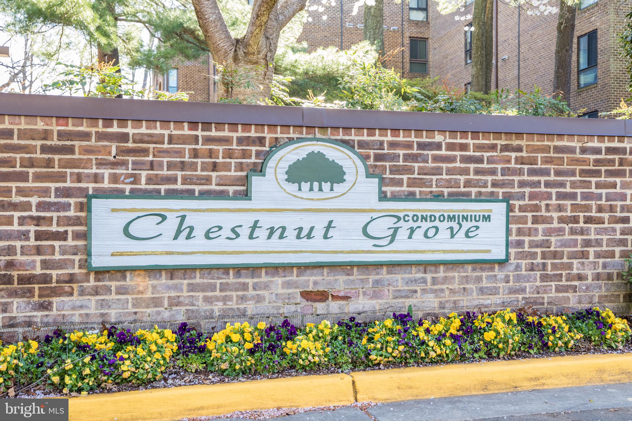 11236 Chestnut Grove Square, Unit 362 Reston, VA 20190 - Photo 45 of 51 Gallery Image 45