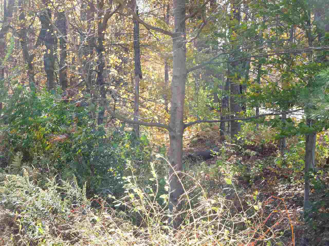819 River Road Westmoreland, NH 03467 - Photo 16 of 24