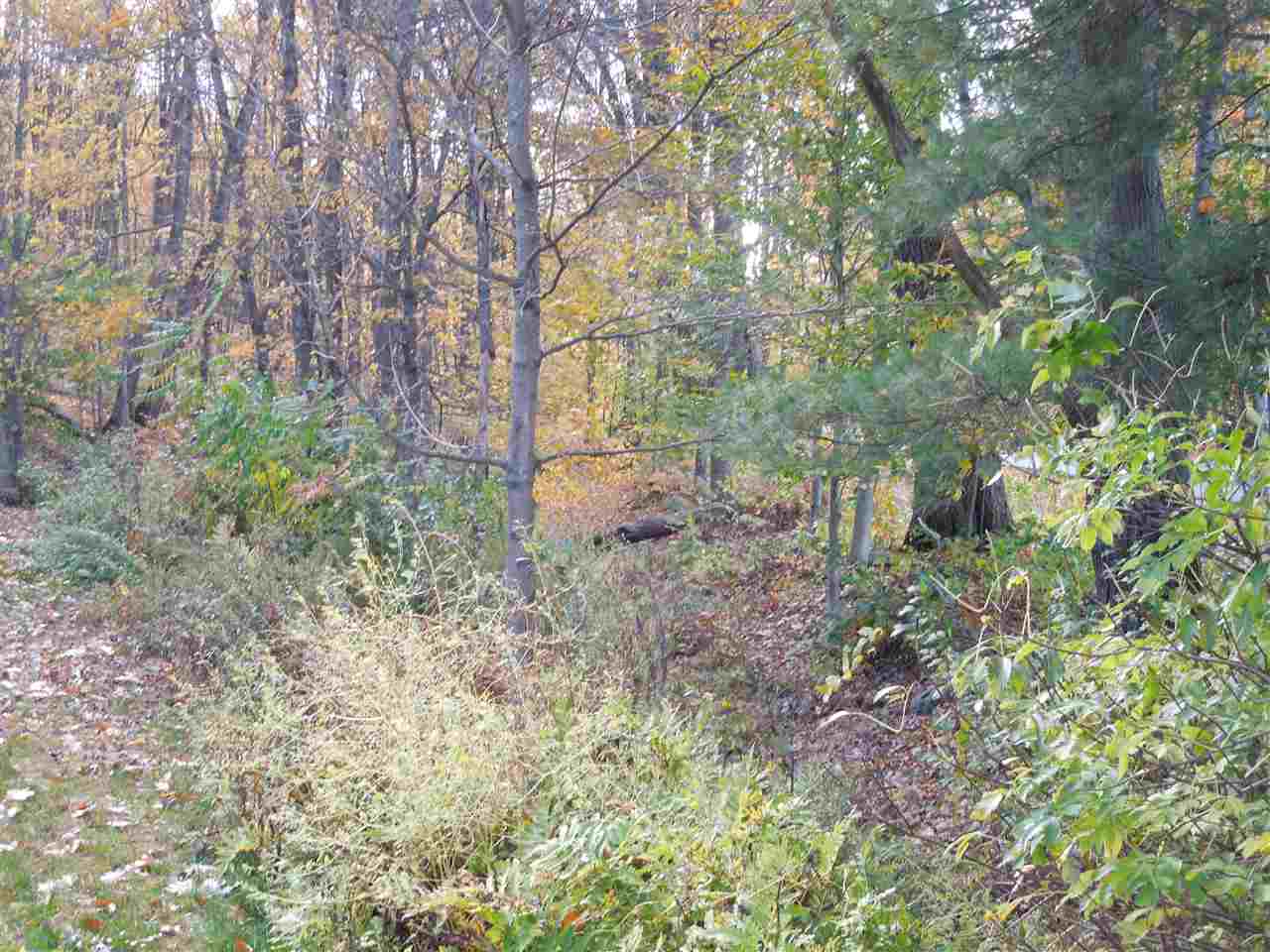 819 River Road Westmoreland, NH 03467 - Photo 22 of 24