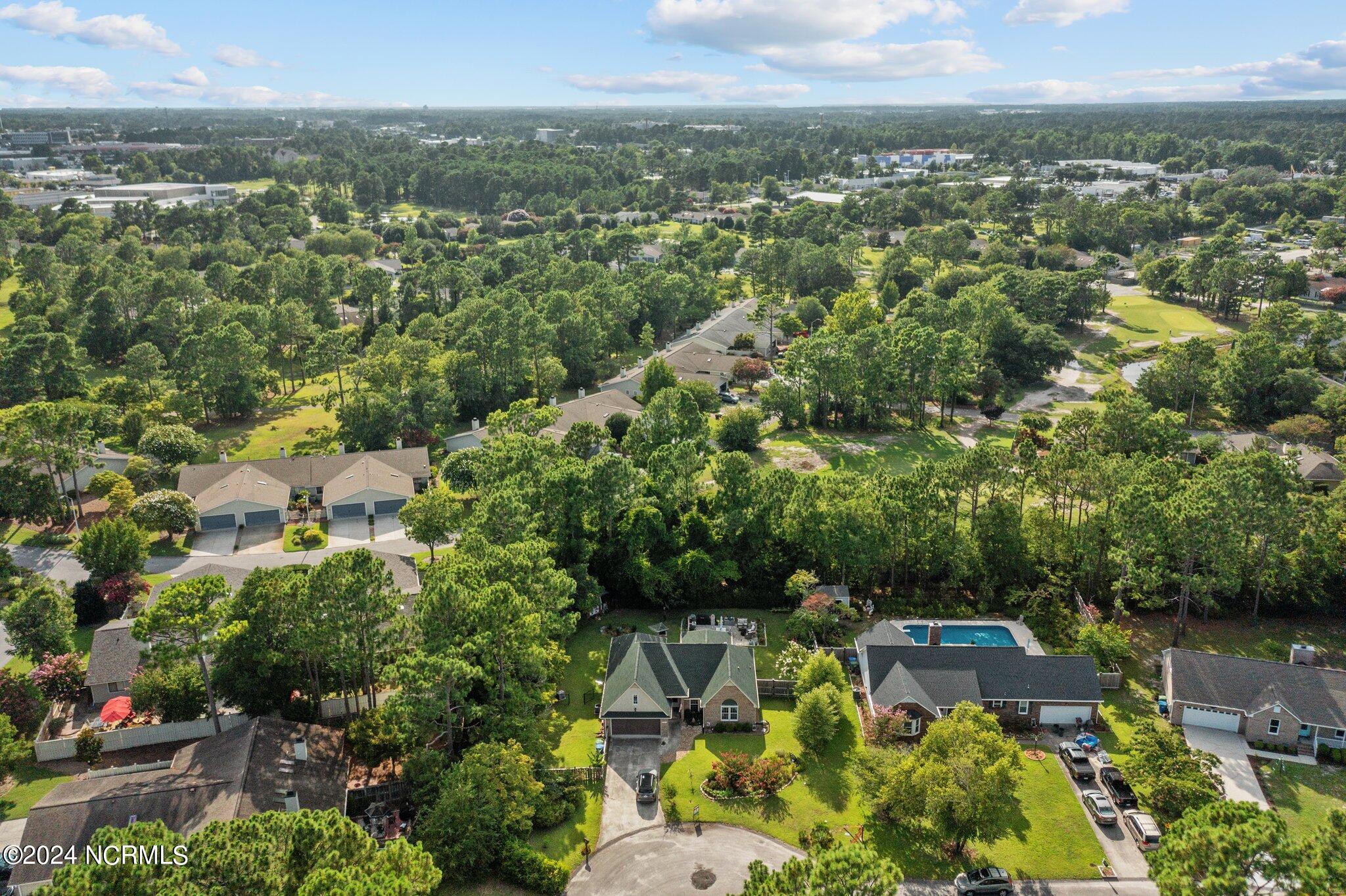 301 Wiregrass Road Wilmington, NC 28405 - Photo 44 of 47 50-web-or-mls-DJI_0896