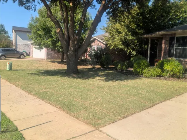 a view of a backyard with large trees