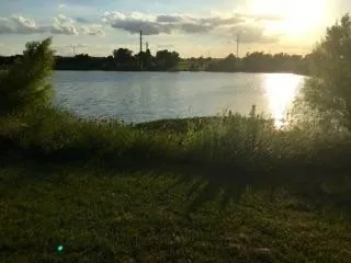 a view of a ocean with a mountain
