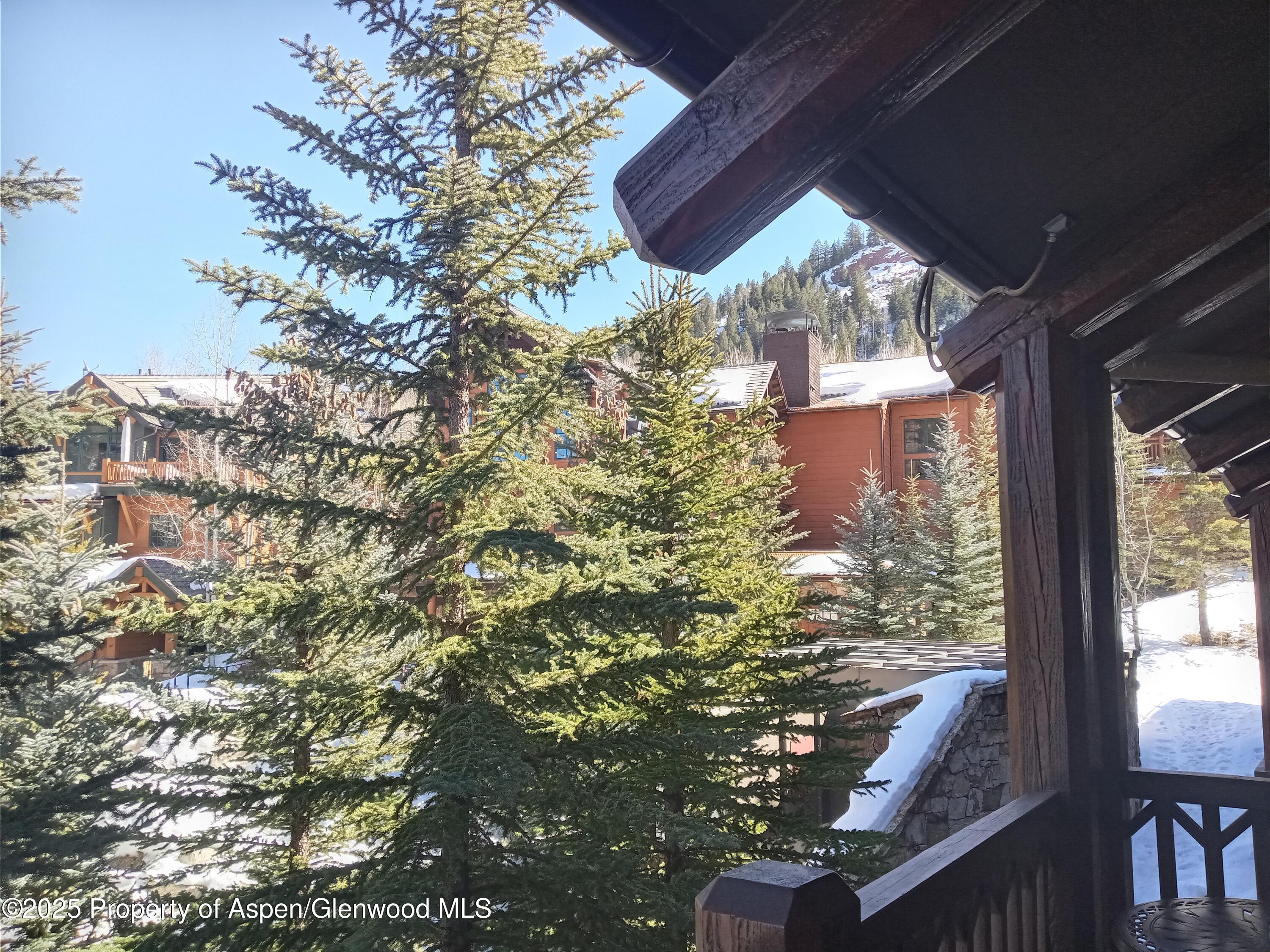 197 Prospector Road, Unit 2310 SUMMER INTEREST #7 Aspen, CO 81611 - Photo 30 of 31 20250301_122623