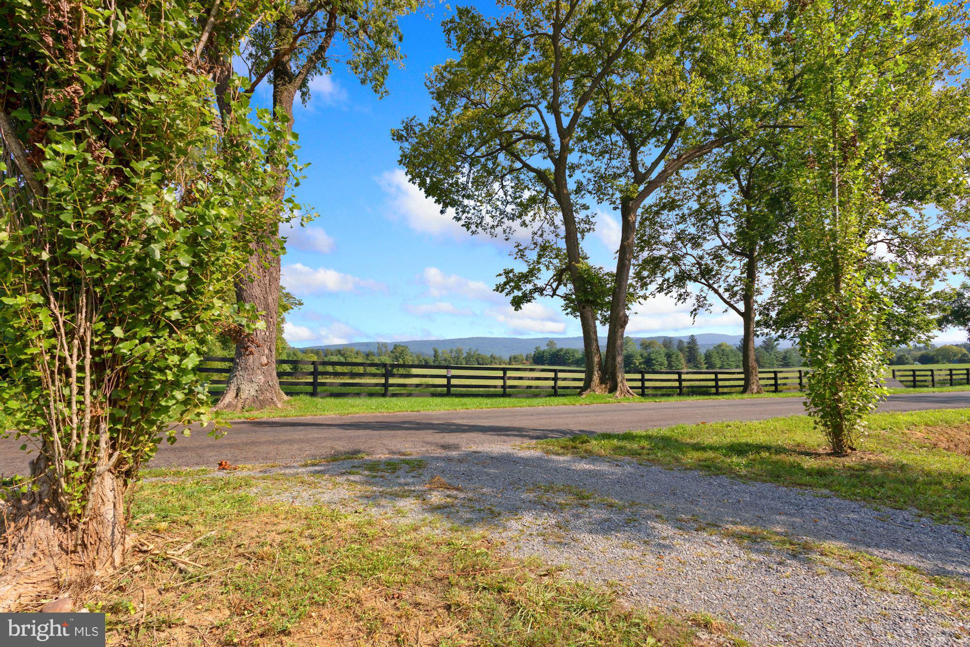 986 Kennel Road Boyce, VA 22620 - Photo 4 of 38