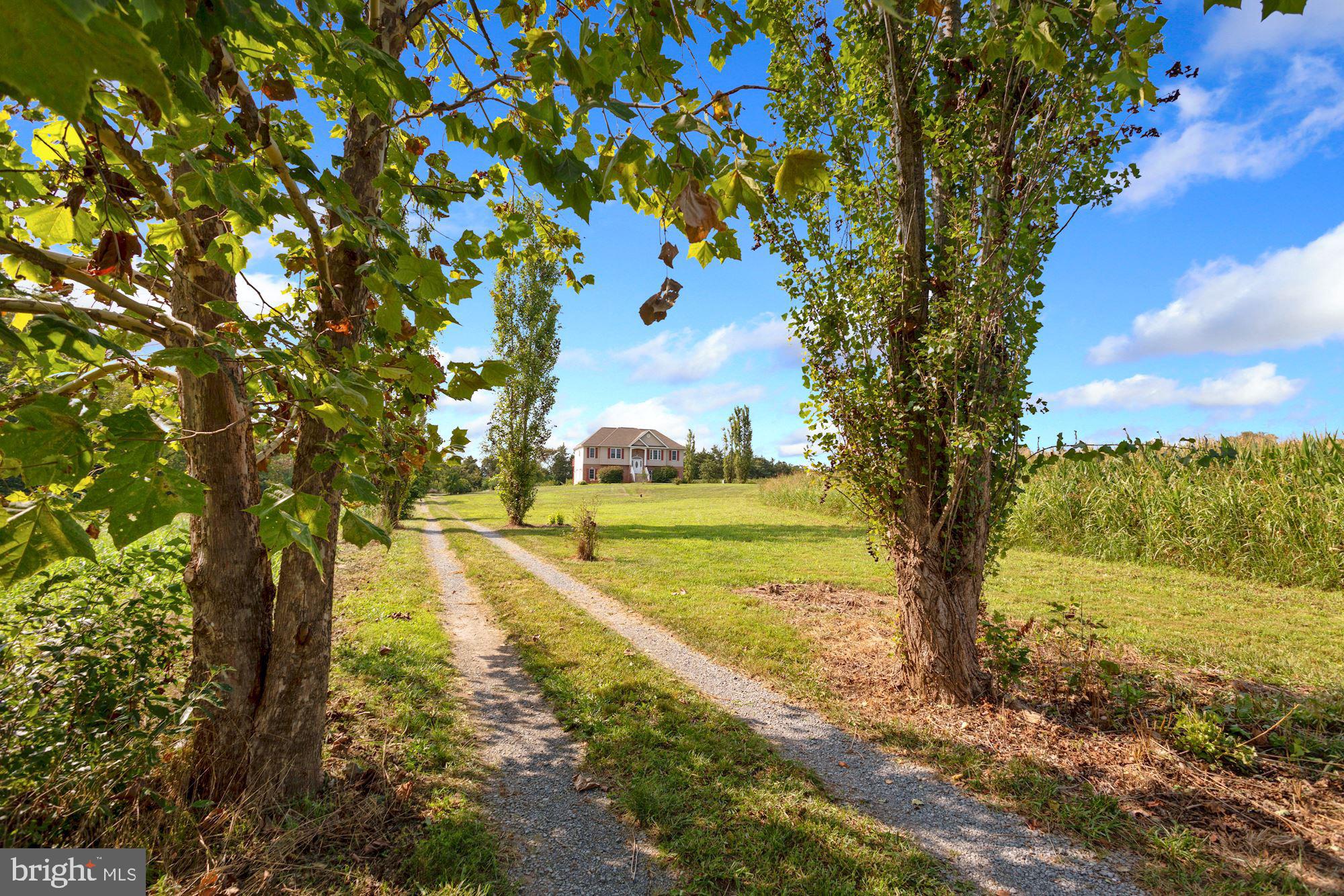 986 Kennel Road Boyce, VA 22620 - Photo 34 of 38