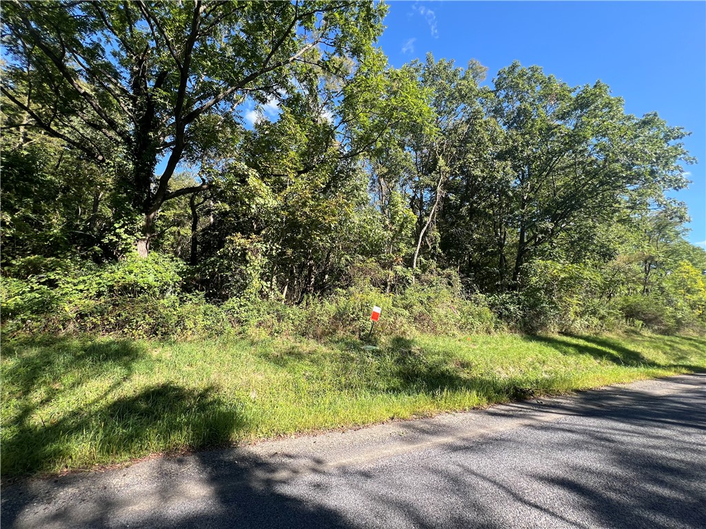 0 Wicks Road Odessa, NY 14869 - Photo 1 of 1