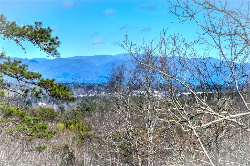 32 Foothills Road Asheville, NC 28804 - Photo 2 of 24 Gallery Image 2