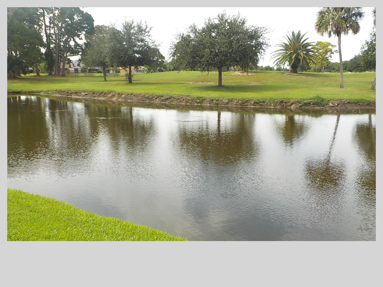 2159 Southeast Erwin Road Port St. Lucie, FL 34952 - Photo 47 of 48 a view of a lake with a yard