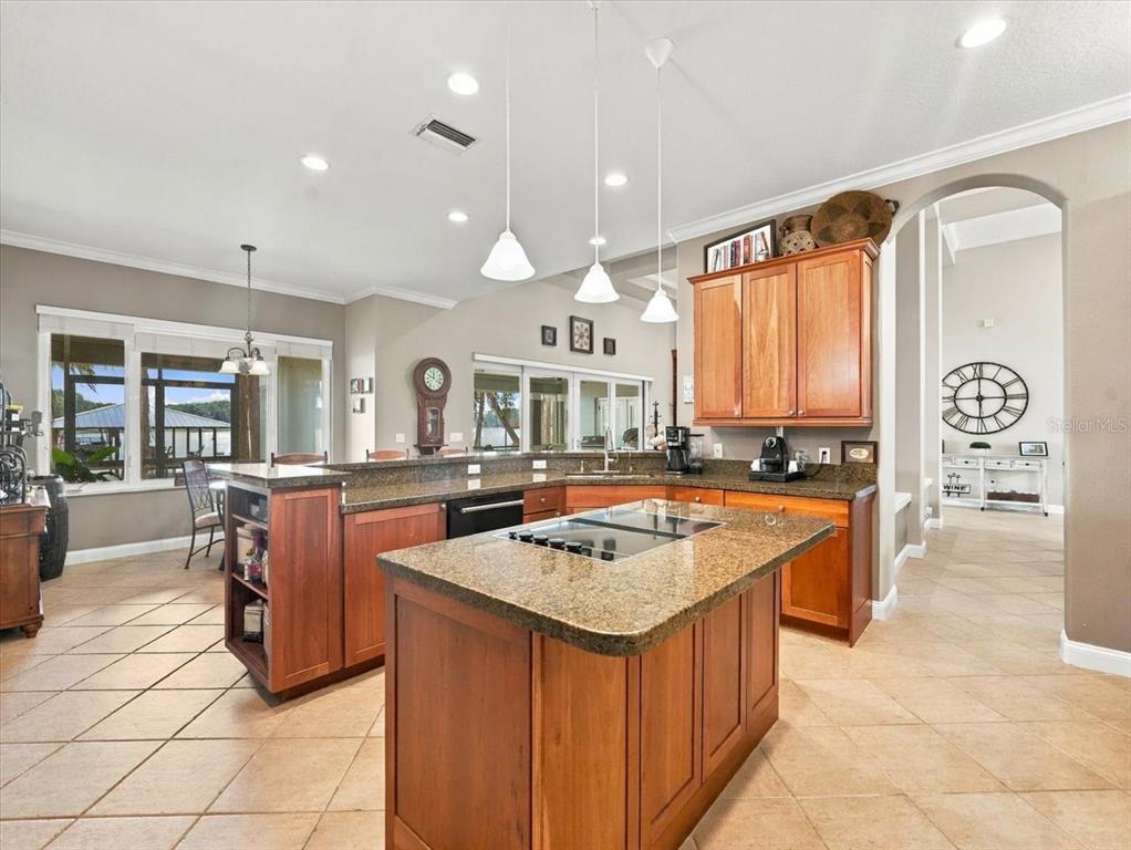 18829 Geraci Road Lutz, FL 33548 - Photo 23 of 77 Gallery Image 23