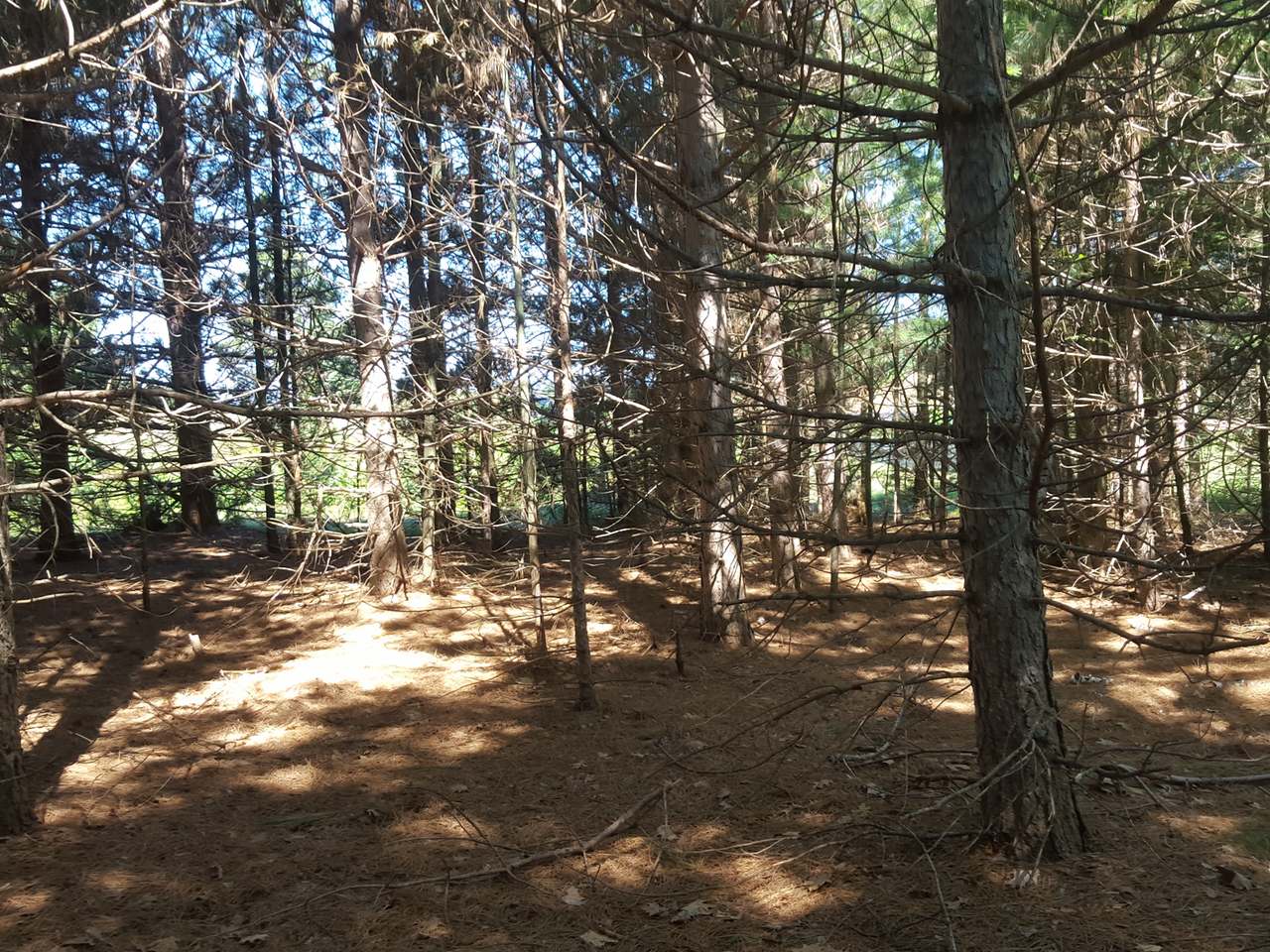 Lot 4 Golf View Road Eagle River, WI 54521 - Photo 27 of 36 Gallery Image 27