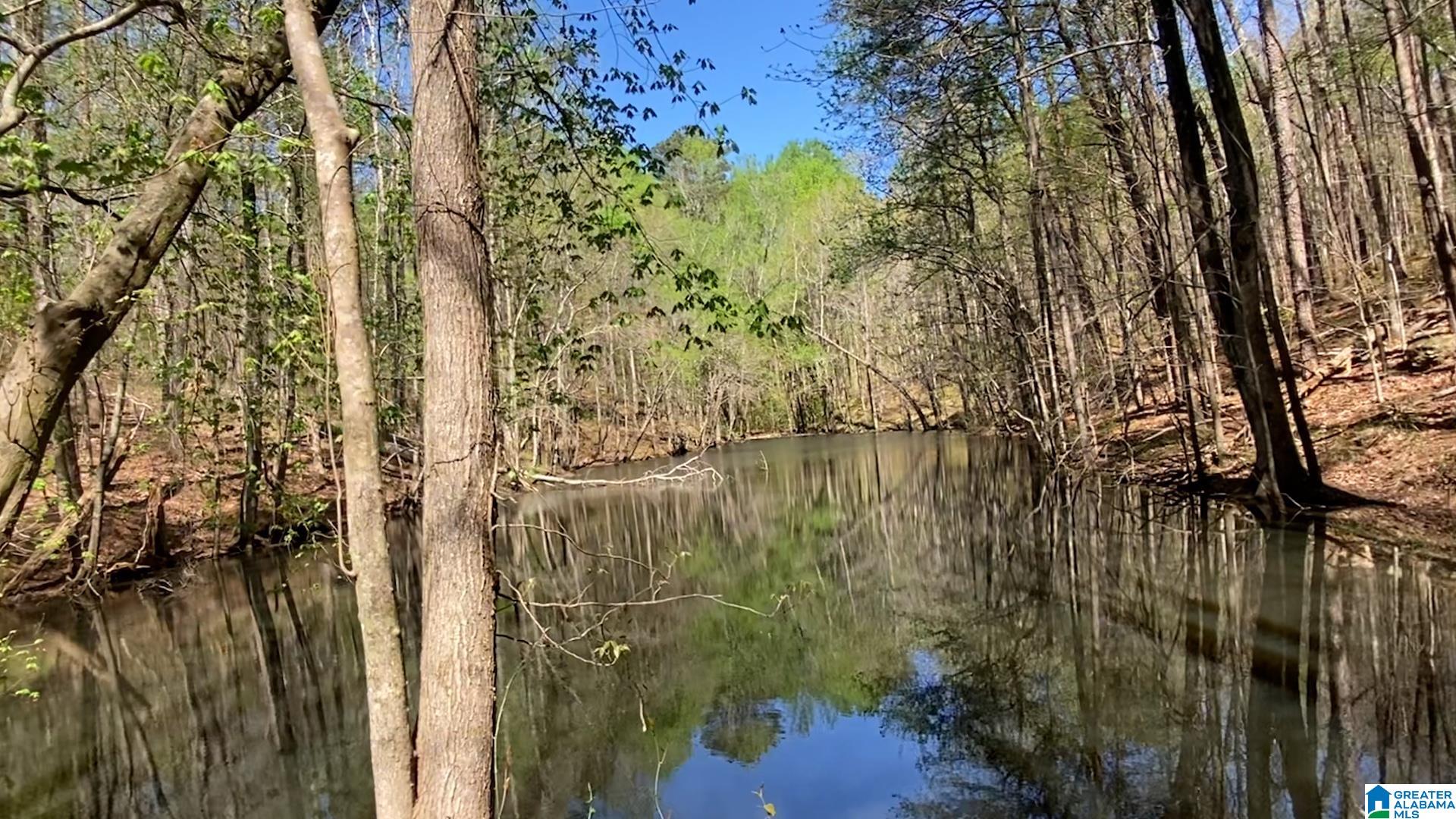2590 Levine Road Odenville, AL 35120 - Photo 10 of 33