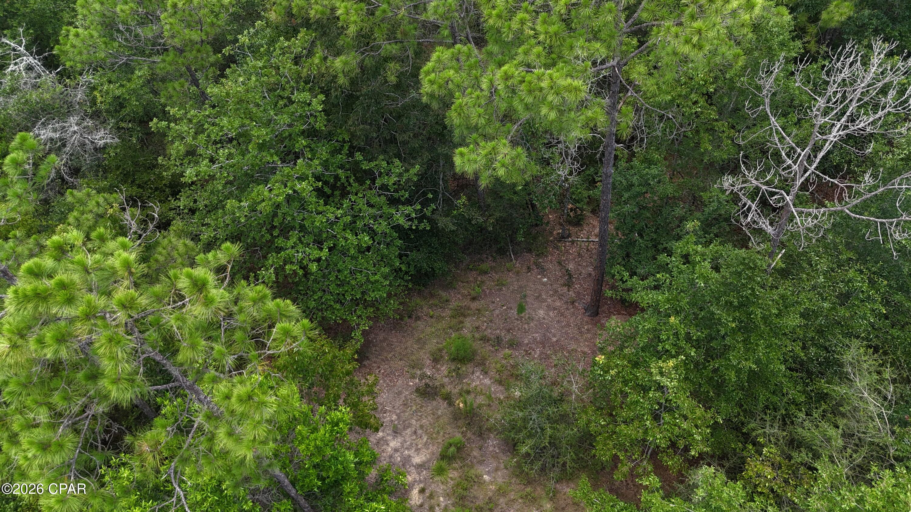 20429 Fettinger Road Fountain, FL 32438 - Photo 5 of 23 Gallery Image 5