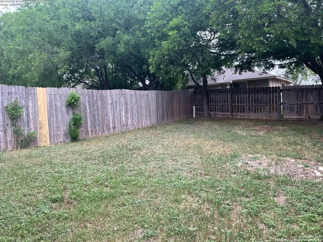 a view of a backyard with wooden fence and a large tree