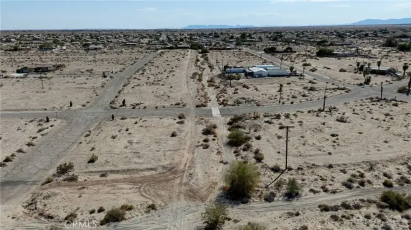 a view of a dry yard