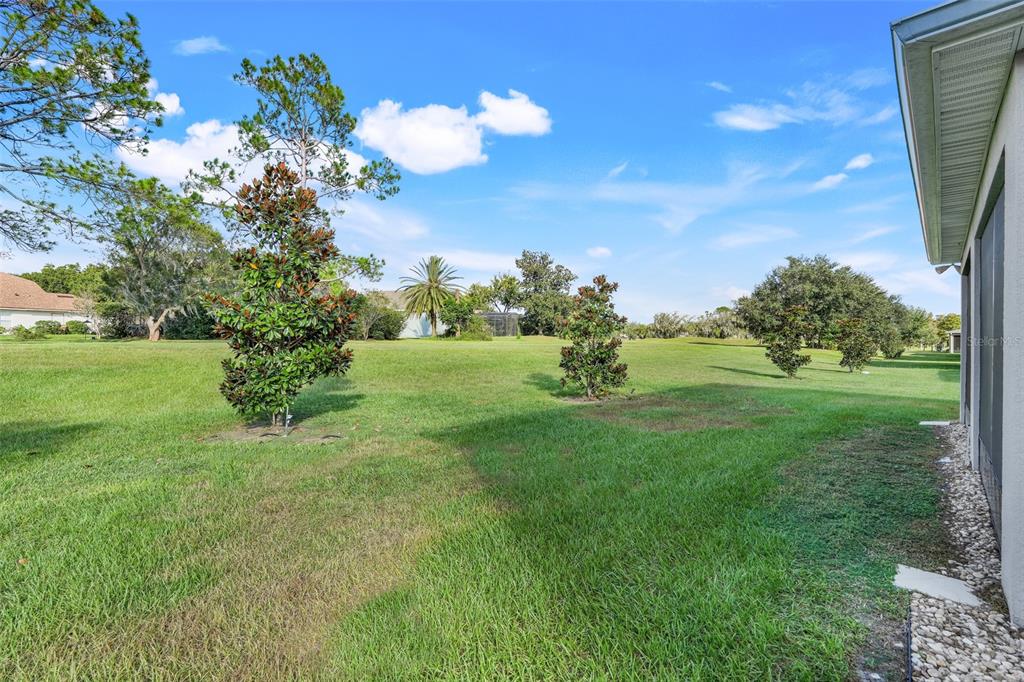 10169 Spring Lake Drive Clermont, FL 34711 - Photo 36 of 54 a view of a big yard with a large tree