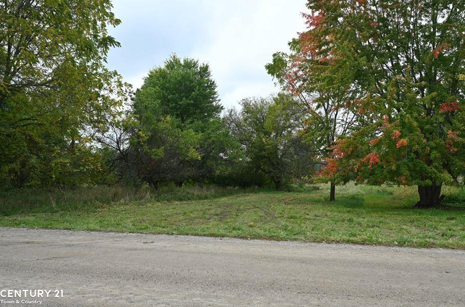 0 South Gale Road Morrice, MI 48857 - Photo 7 of 12