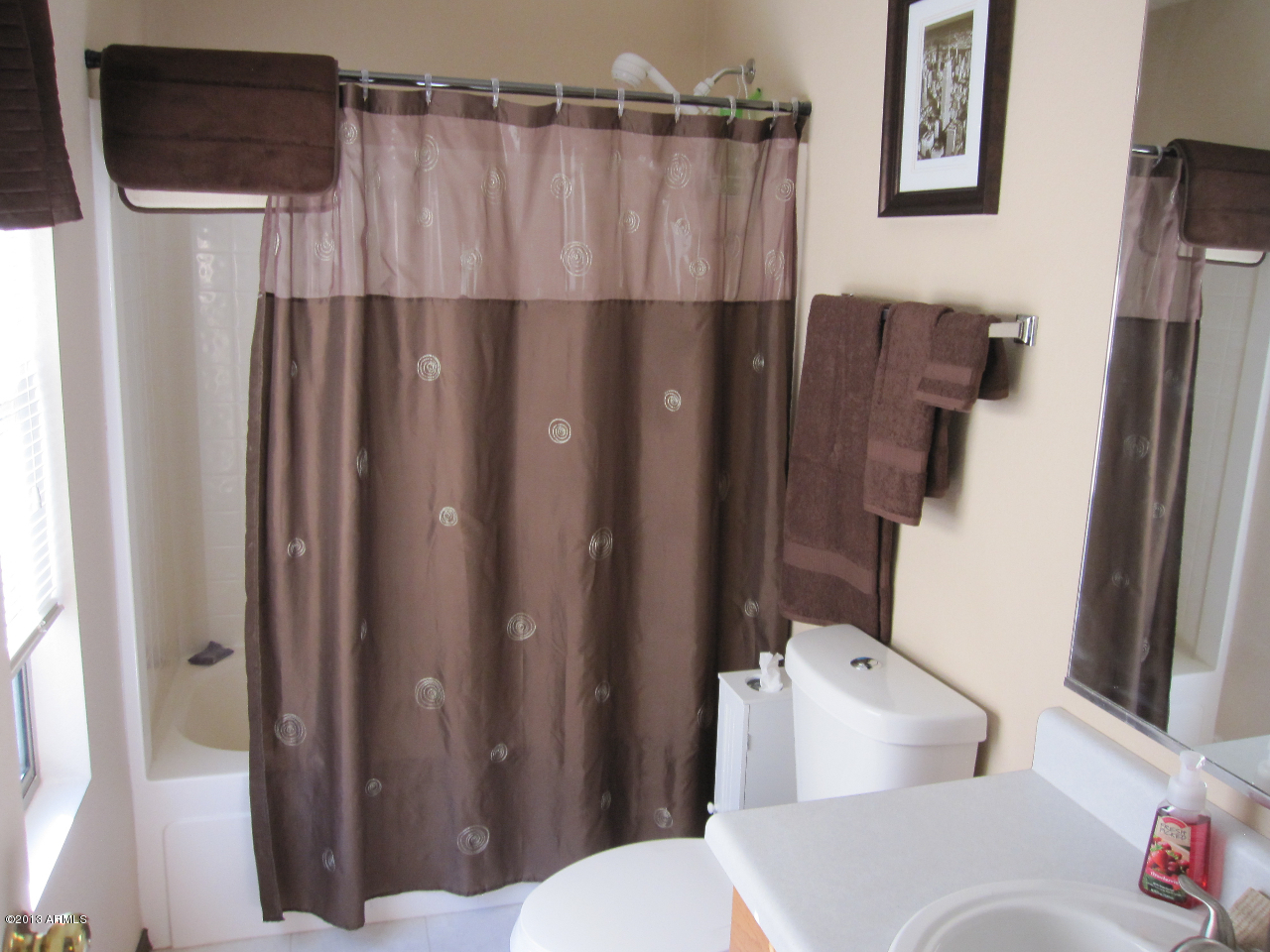 3509 South Bowman Road Apache Junction, AZ 85119 - Photo 8 of 11 Master Bathroom