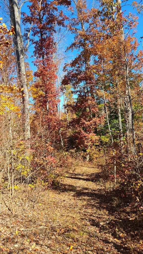 640 Andersonville Road Appomattox, VA 24522 - Photo 14 of 33 Gallery Image 14