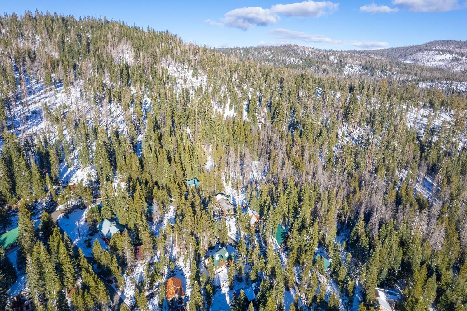 55578 Cordwood Road Shaver Lake, CA 93664 - Photo 46 of 59 a view of a city with lush green forest