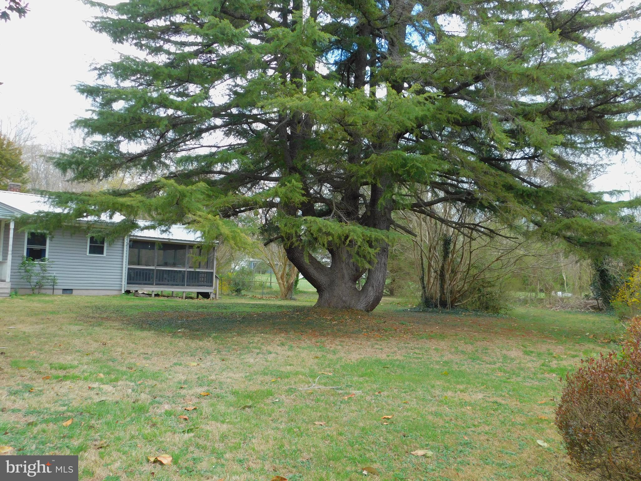 16453 Ridge Road King George, VA 22485 - Photo 4 of 47 Gallery Image 4
