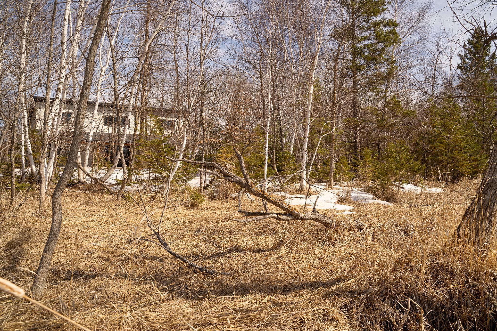 24562 Northeast Rock Lake Road Rochert, MN 56578 - Photo 41 of 46