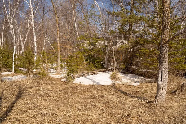 $399,900 | 24562 Northeast Rock Lake Road, Rochert, MN 56578