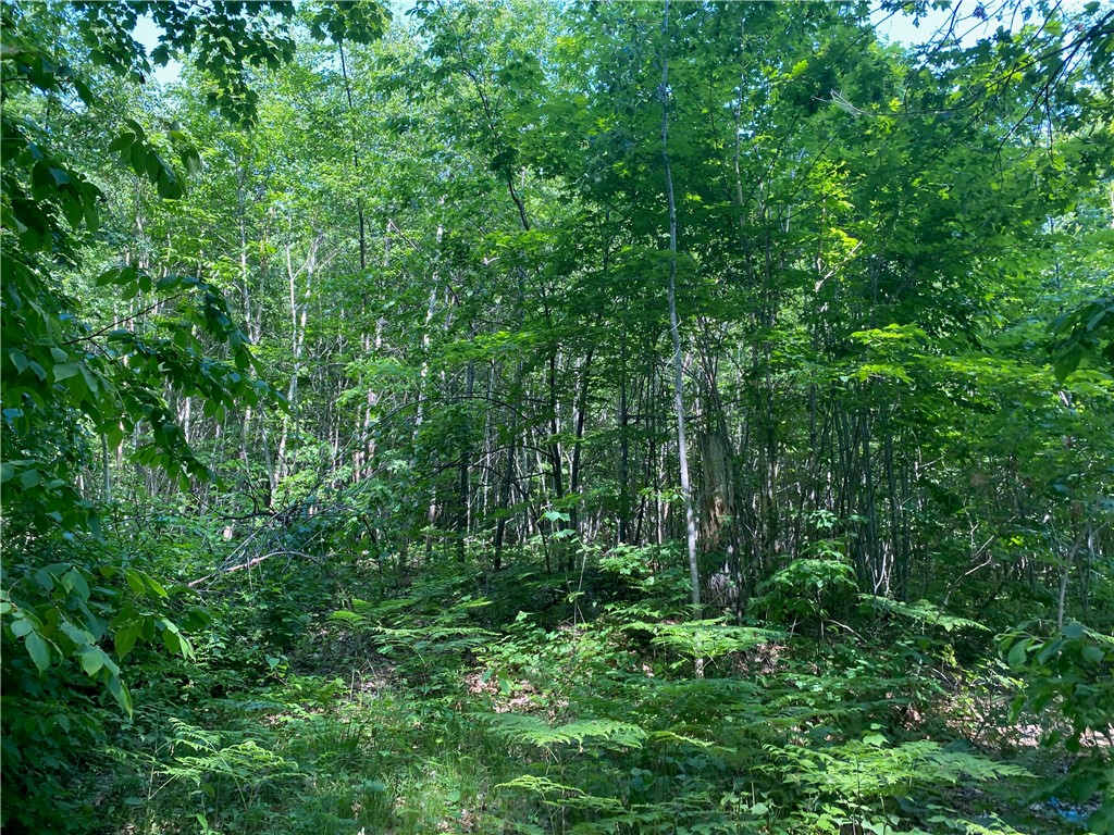 Lot 7 Secluded Trail Hayward, WI 54843 - Photo 8 of 41