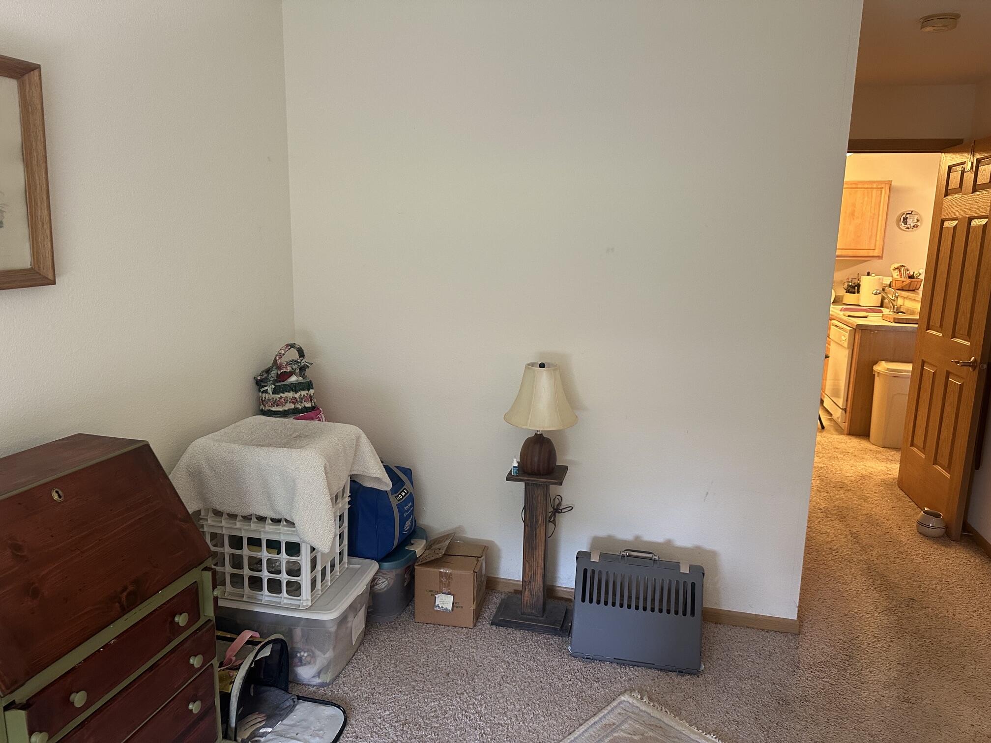 210 East Remer Road, Unit 204 Elkhorn, WI 53121 - Photo 22 of 28 Second bedroom (2)