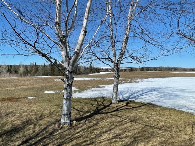 376 Britton Road Monticello, ME 04760 - Photo 16 of 44 IMG_9255