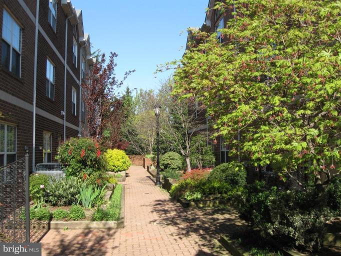 3094 South Glebe Road, Unit 3094 Arlington, VA 22206 - Photo 26 of 26 Quiet Courtyard Setting