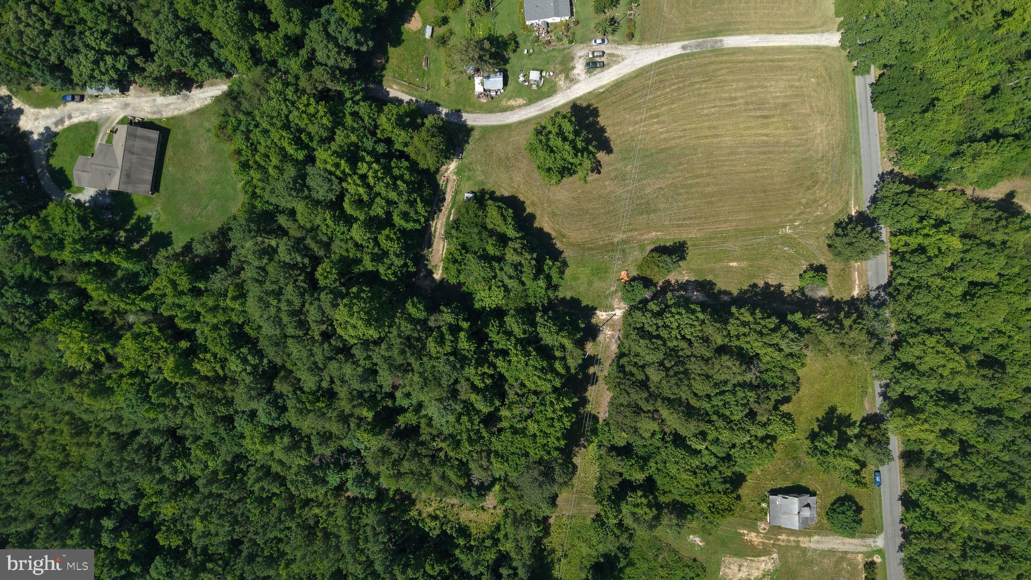 512 Mountain Hall Road Crewe, VA 23930 - Photo 6 of 50