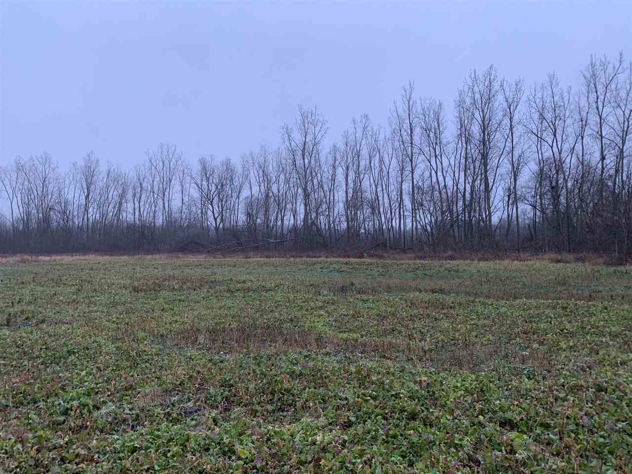 0 Britton Road Morrice, MI 48857 - Photo 4 of 9