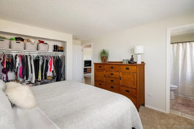 a bed room with a bed and a closet