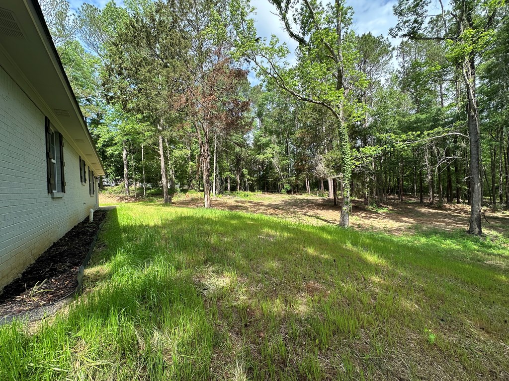 593 Mary McClendon Road Ozark, AL 36360 - Photo 64 of 65
