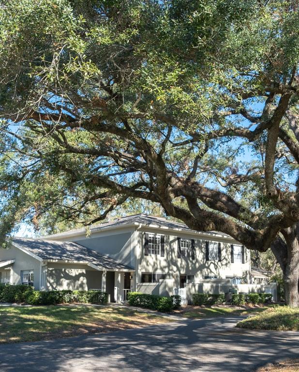 11775 Raintree Drive Tampa, FL 33617 - Photo 1 of 1 Welcome HOME!11775 Raintree Drive